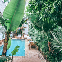 Piscine extérieure entourée de végétation luxuriante et de chaises longues en bois dans un cadre tropical.