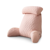 Coussin de lecture amovible