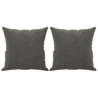 Coussin canapé gris foncé en velours 40 x 40 cm lot de 2