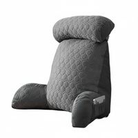 Coussin de lecture amovible