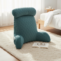 Coussin de lecture amovible