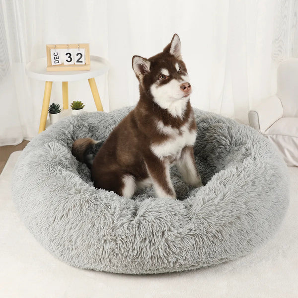 Coussin pour chien rond gris avec un chien assis dedans posé sur un tapis circulaire molletenné 