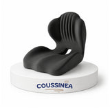 Coussin Ergonomique Assise et Dossier 2-en-1 Mémoire de Forme